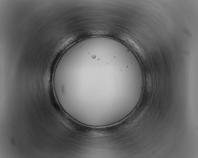 X0000116790490200912311920