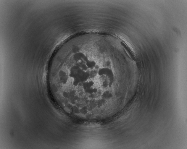 X0000116790491200912311919