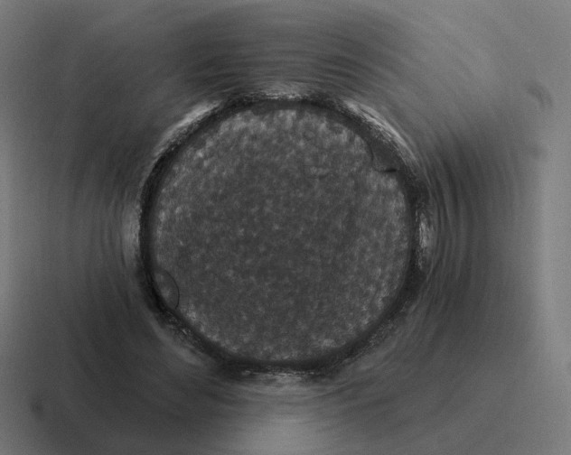 X0000116790492200912311919