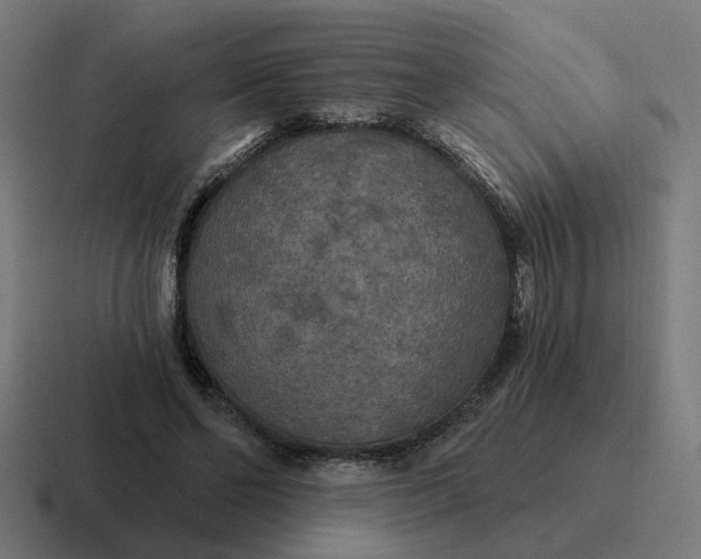 X0000116790494200912311919