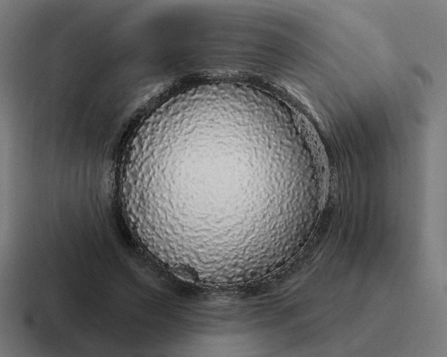 X0000116790495200912311919