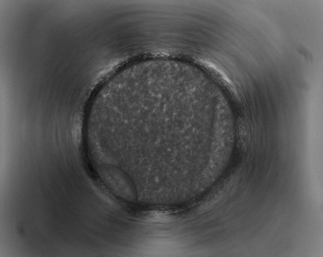 X0000116790496200912311919