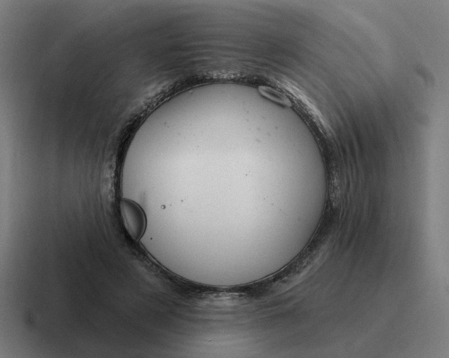 X0000116790497200912311919