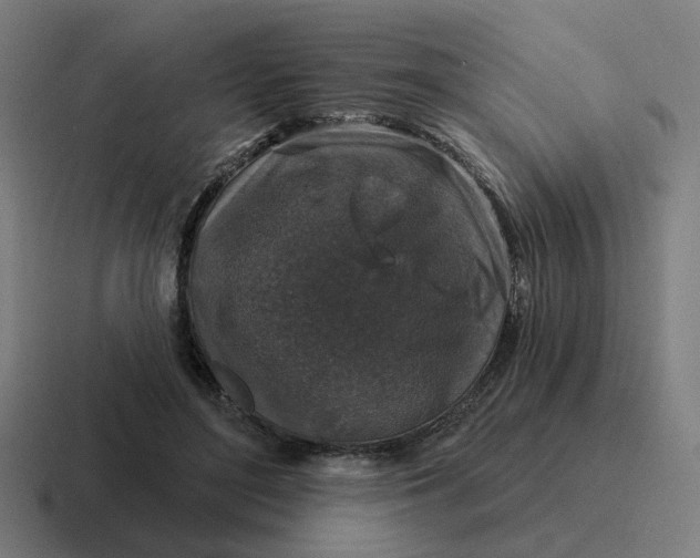 X0000116790500200912311919