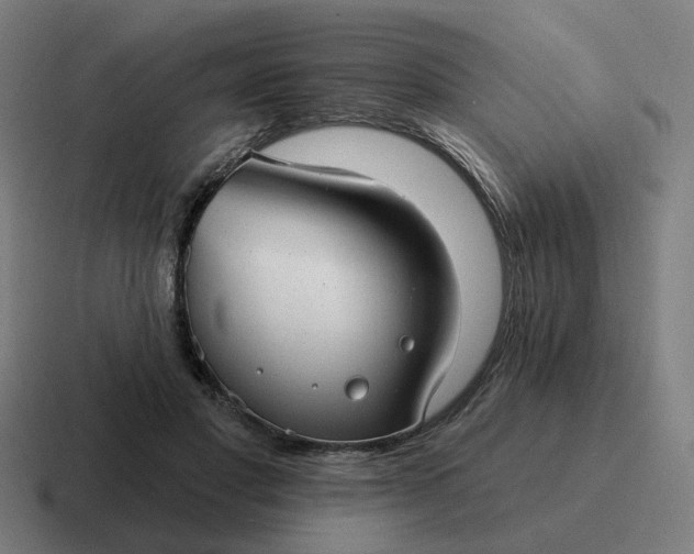 X0000116790501200912311919