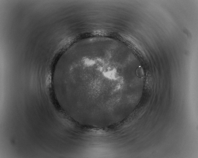 X0000116790502200912311919