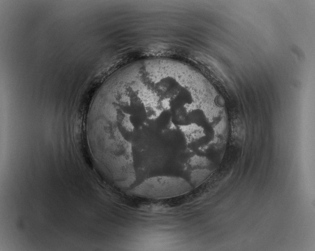 X0000116790503200912311919