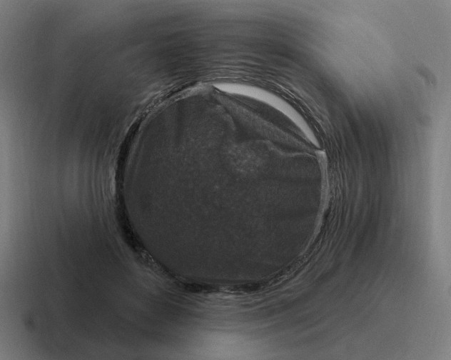 X0000116790504200912311919