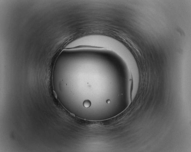 X0000116790505200912311919