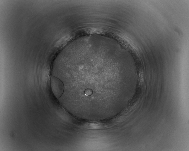 X0000116790506200912311919