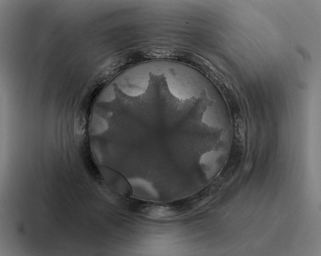 X0000116790507200912311919