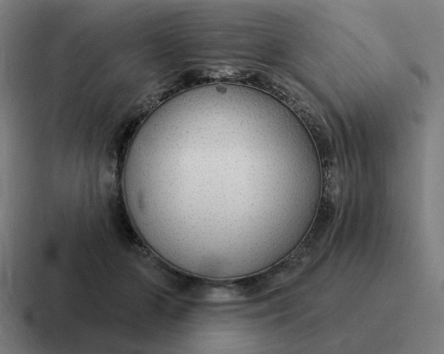 X0000116790510200912311919