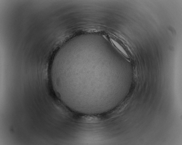 X0000116790512200912311919