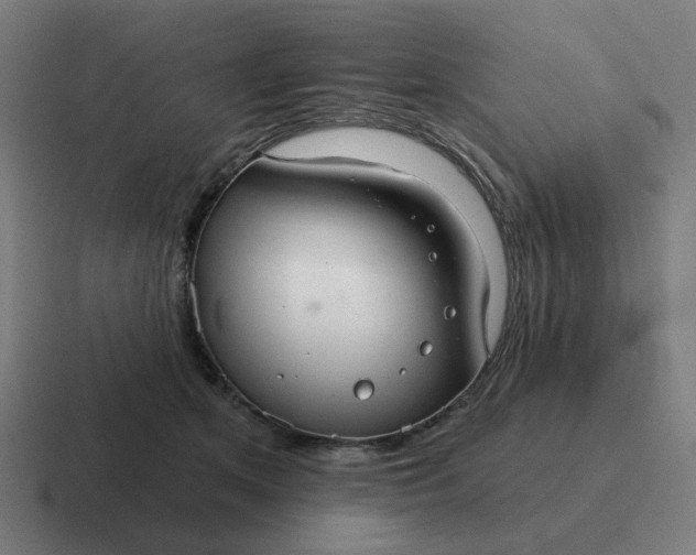 X0000116790513200912311919