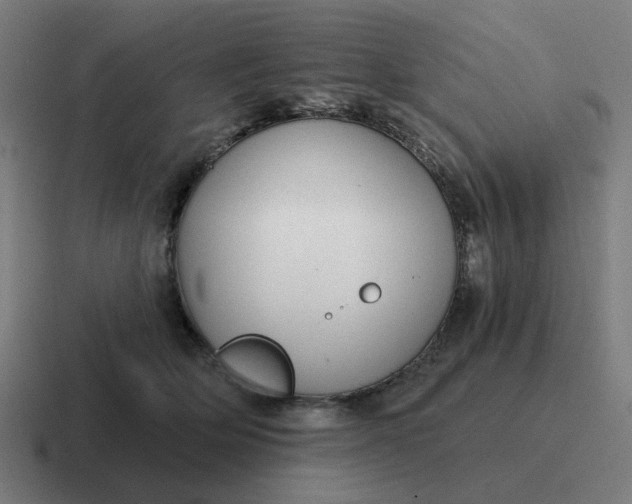 X0000116790514200912311919