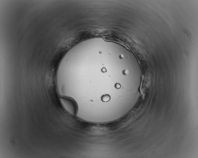 X0000116790515200912311919