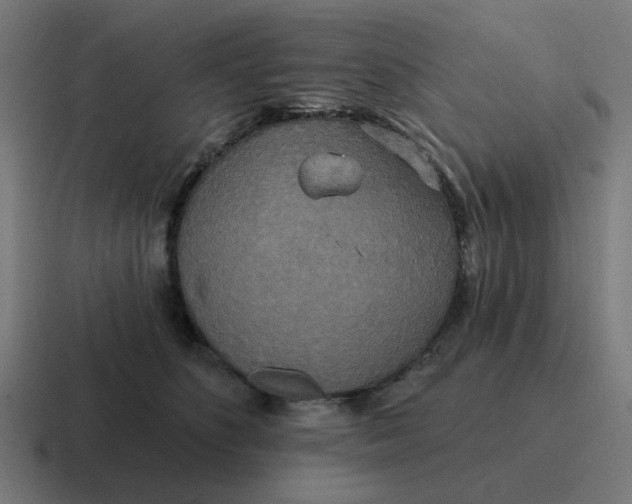 X0000116790516200912311919