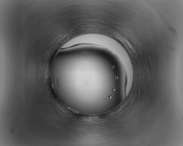 X0000116790517200912311919