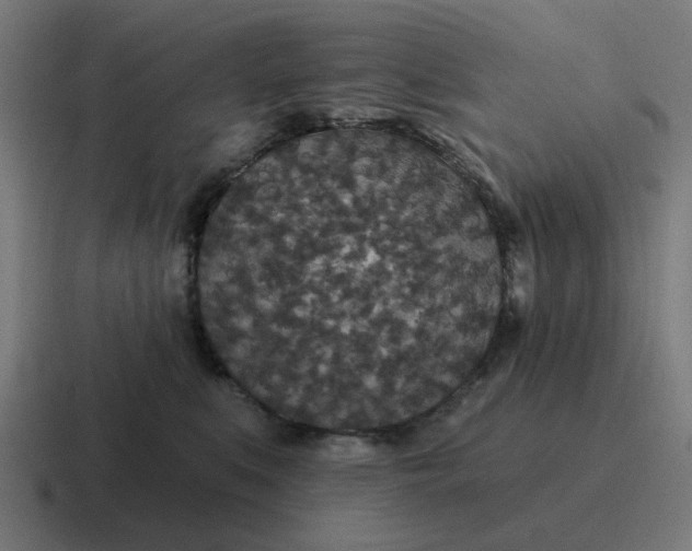 X0000116790519200912311919