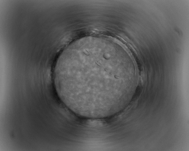 X0000116790520200912311919