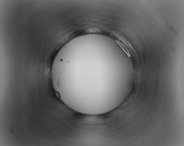 X0000116790521200912311919