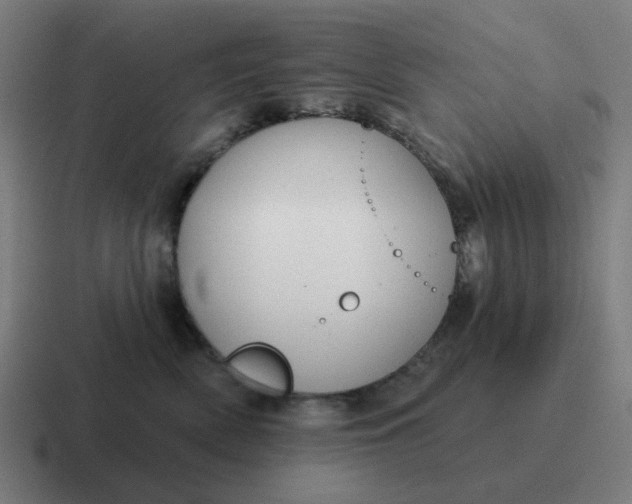 X0000116790522200912311919