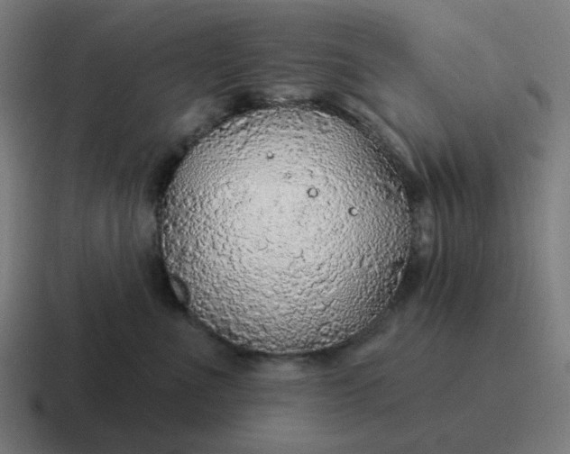 X0000116790523200912311919