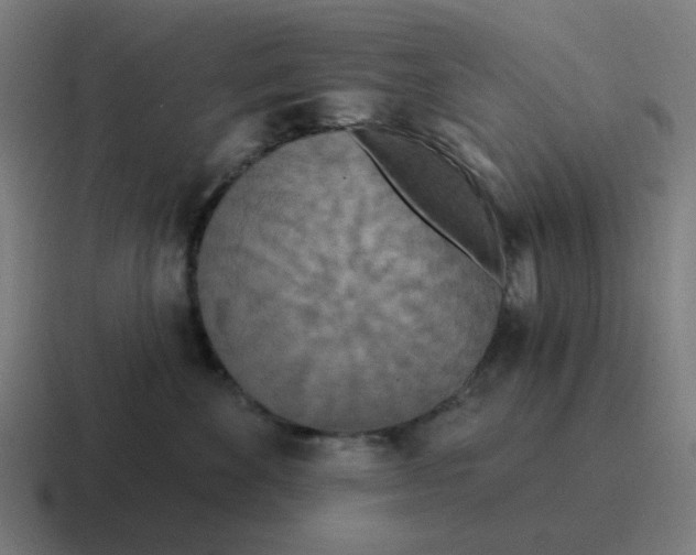 X0000116790524200912311919