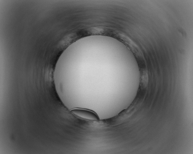 X0000116790525200912311919