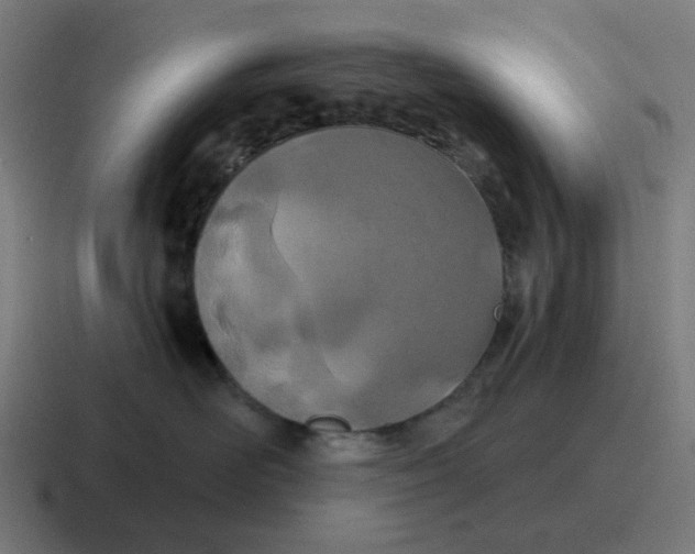 X0000116790526200912311919