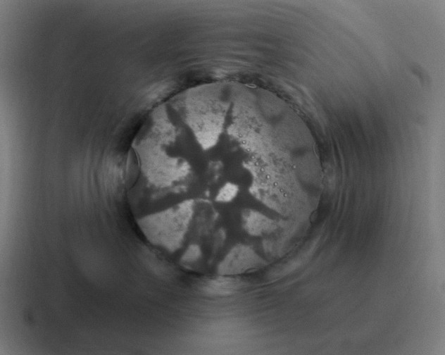 X0000116790527200912311919