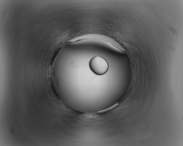 X0000116790528200912311919