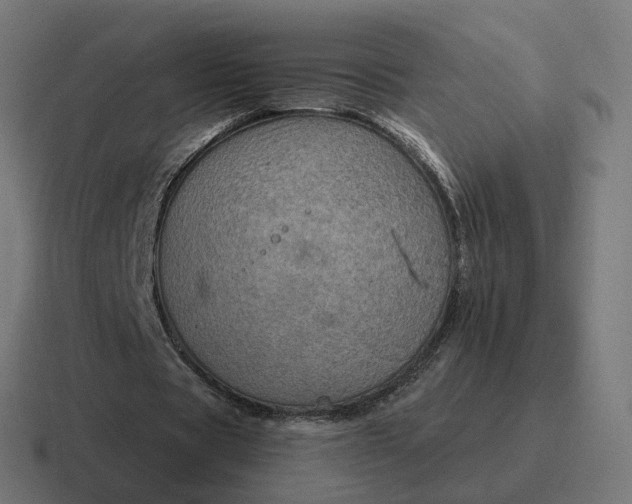 X0000116790529200912311918