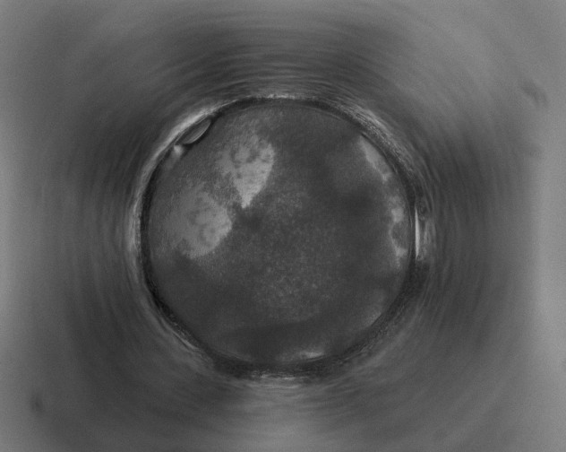 X0000116790531200912311918