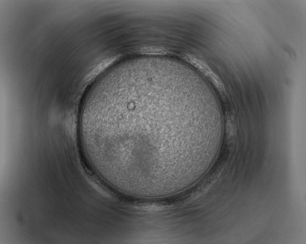 X0000116790533200912311918