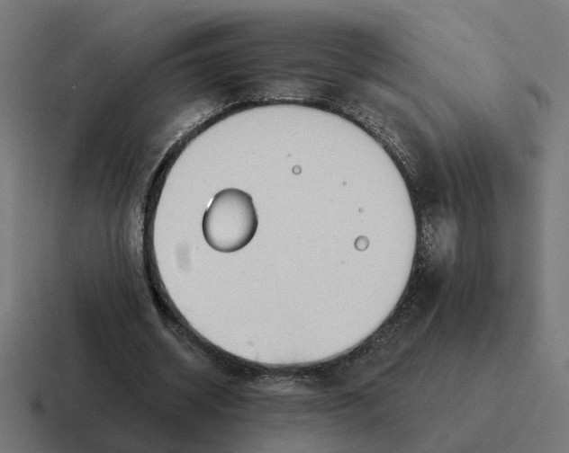 X0000116790534200912311918