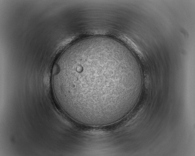 X0000116790537200912311919