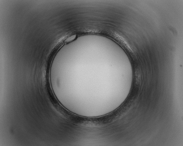 X0000116790538200912311919