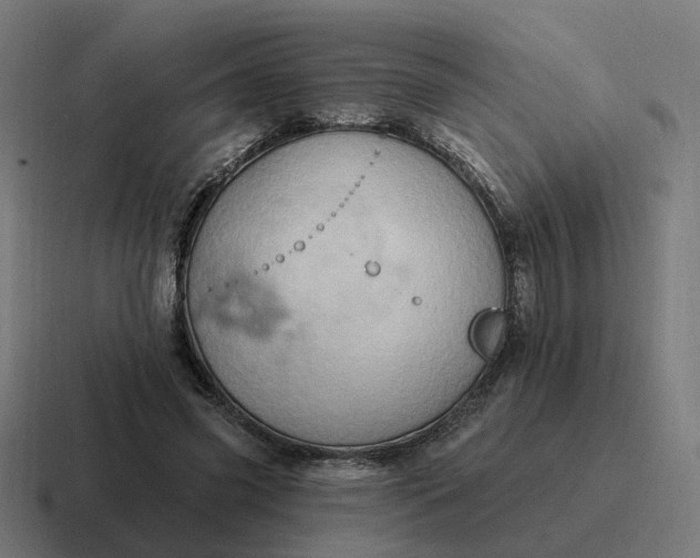 X0000116790541200912311919