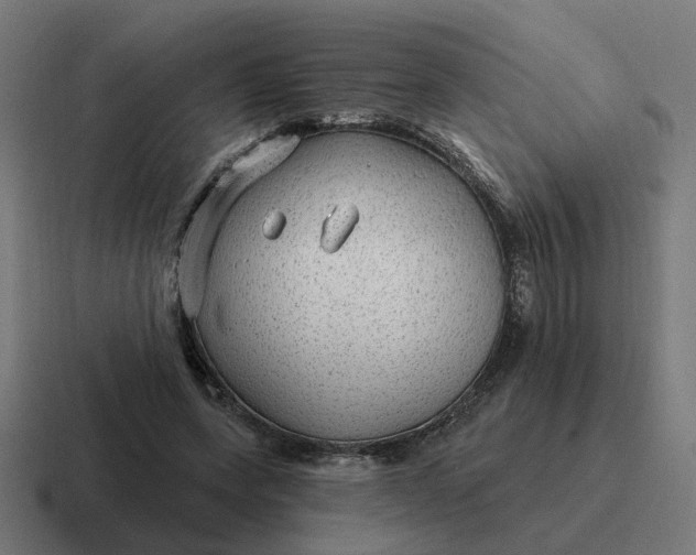 X0000116790543200912311919