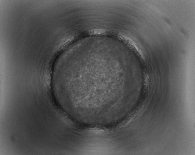 X0000116790545200912311919