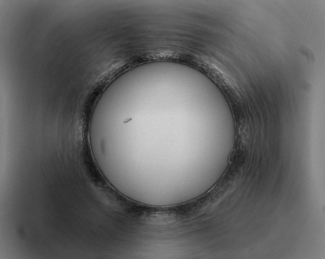 X0000116790546200912311919