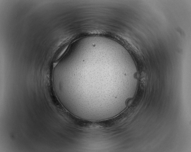 X0000116790547200912311919