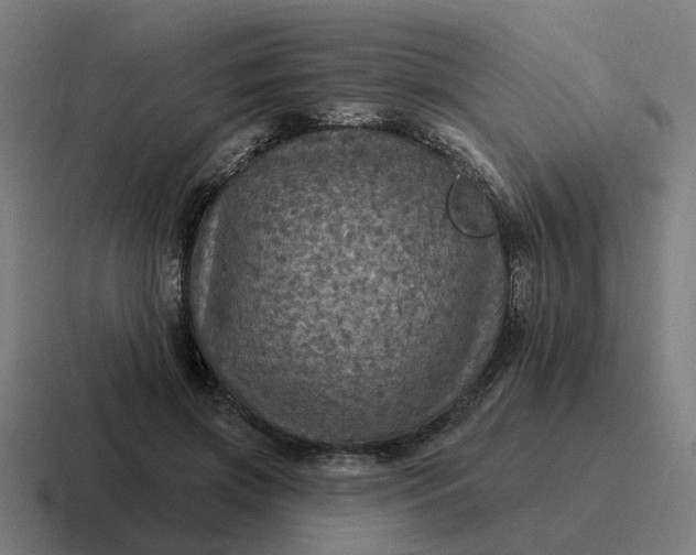 X0000116790549200912311919