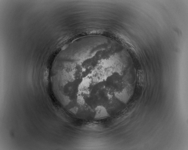 X0000116790550200912311919