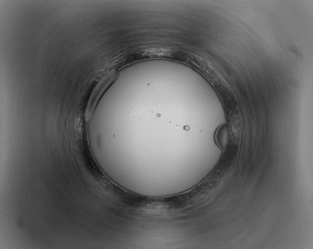 X0000116790551200912311919