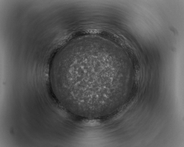 X0000116790553200912311919