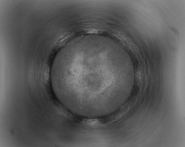 X0000116790554200912311919