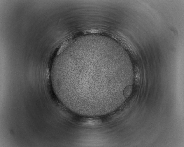 X0000116790555200912311919