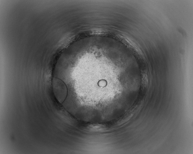 X0000116790557200912311919